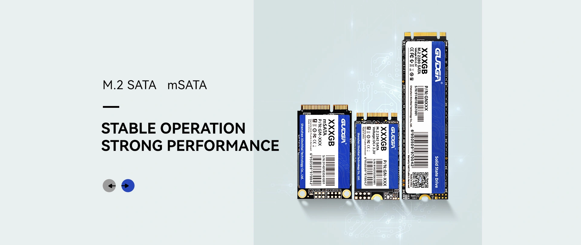 चीन सवलत M.2 SATA SSD उत्पादक