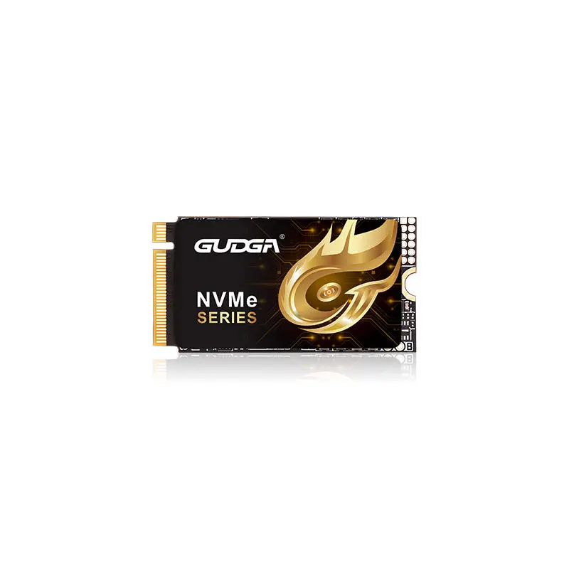 2242 लांबी PCIE 4.0 NVMe SSD 7000MB/s